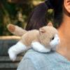 L18Cm Cute Kitten Plush Toy Yellow Male Kitten Shoulder-Resting Style Birthday Gift
