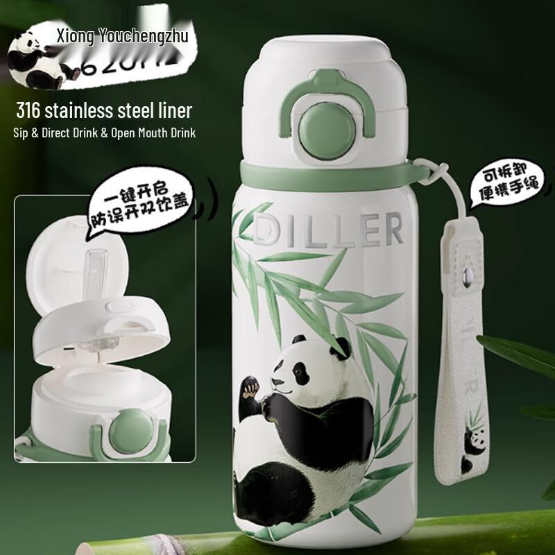 Diller 620ML Insulated Dual-Drink Straw Water Bottle