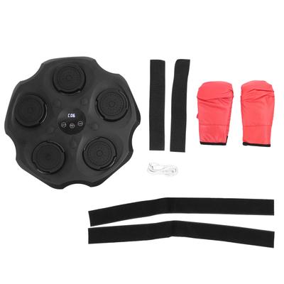 Box a bojová umění – Boxovací pytle