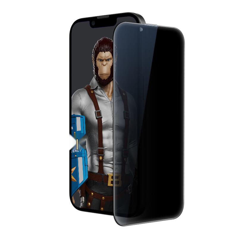 Blue Gorilla Anti-Spy Tempered Glass Screen Protector for iPhone