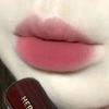 HERORANGE Velvet Matte Lipsticks Nude Apricot Matte Lip Gloss Tint Waterproof Lasting Sexy Smoky Purple Lipstick Makeup