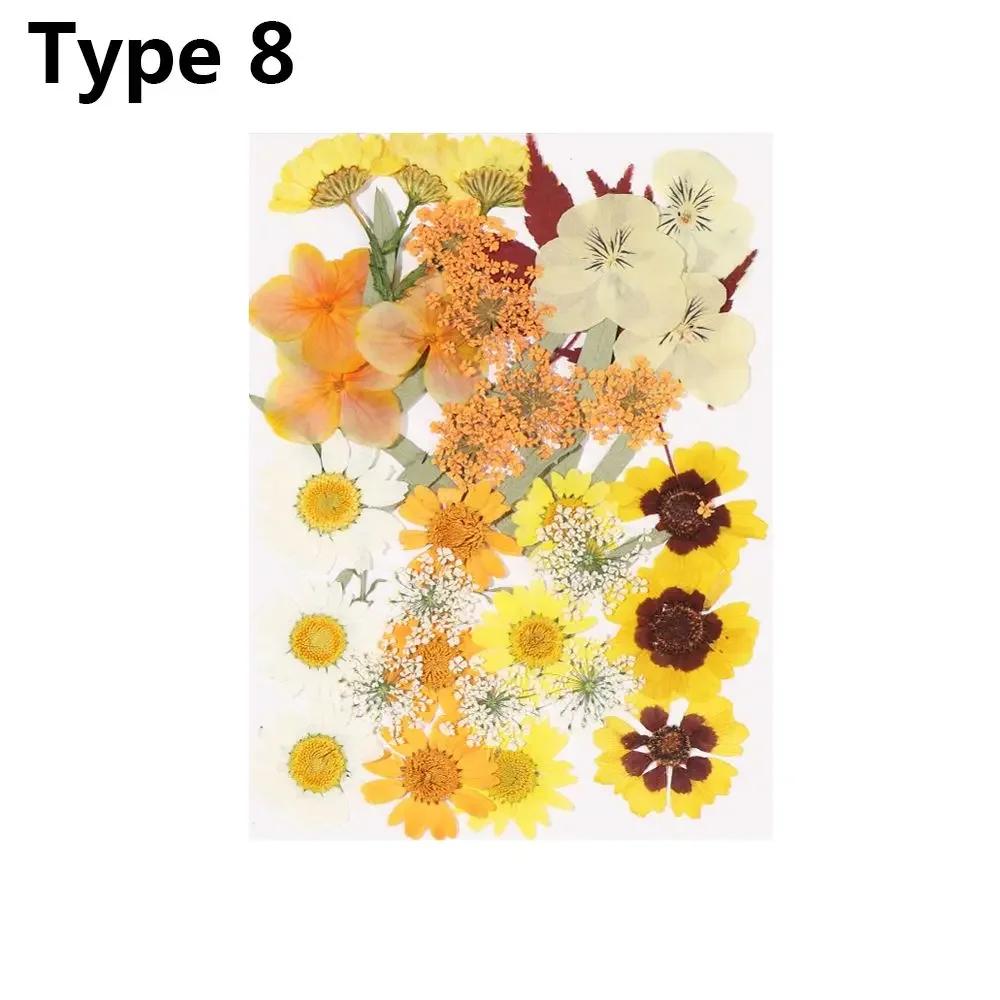 Dried Flowers UV Resin Decorative Natural Flower Stickers 3D Pressed Dried Flowers Beauty Decal Nail Art Epoxy Mold Filling