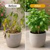 Durable Electroculture Plant Stakes Spiral Coil Bonsai Fixing Rod Plant Support Stakes  Planters