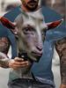 2026 funny Animal Goat 3D Print Men's T-Shirts Streetwear new Fashion Harajuku Casual Oversized O-Neck Unisex Clothes Tees Tops