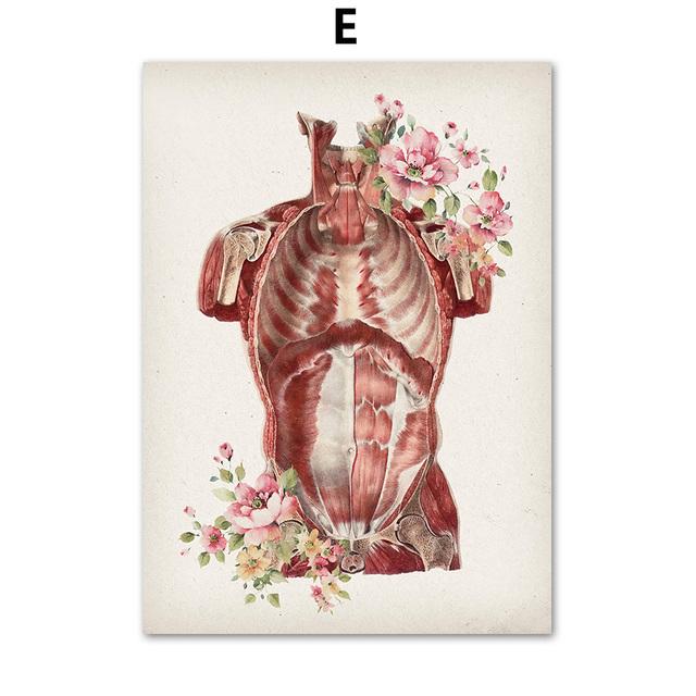 

Цветы севера Орган Человеческое тело Анатомия Медицина Настенные картины на холсте Плакаты и принты для украшения гостиной Без рамки 21*30cm No Frame