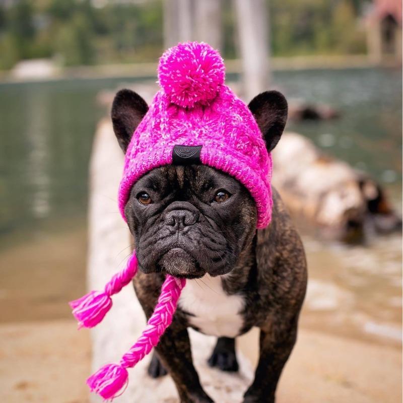 New Cat Autumn and Winter Warm and Windproof Dog, Pom-pball French Bulldog Hat, Pet Cat Head Cover Supplies