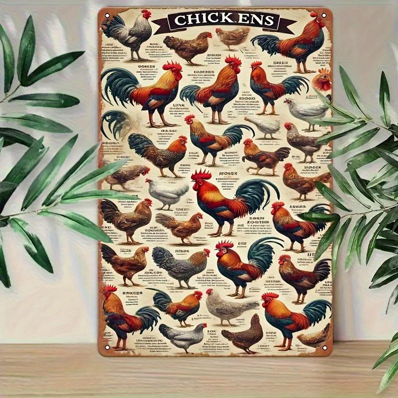 2D Flat, 2D Wall Art- 1pc, Complete Illustration of Chicken Breeds- Vintage Metal Tin Painting, Artistic Decoration, Easy Instal