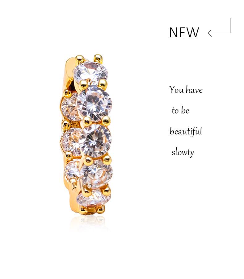Elegant Zirconia Earrings for Women - High-End, Versatile, Shiny Jewelry