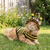 Lightweight Pet Bee Costume Breathable Bee Cosplay Clothes Funny Bee Themed Cat Outfit Set  Travel