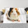 Guinea Pig Flannel Blanket Lovely Cartoon Animal Red Strawberry Blankets for Couch Bed Sofa Pet Hamster Floral Throw Blanket