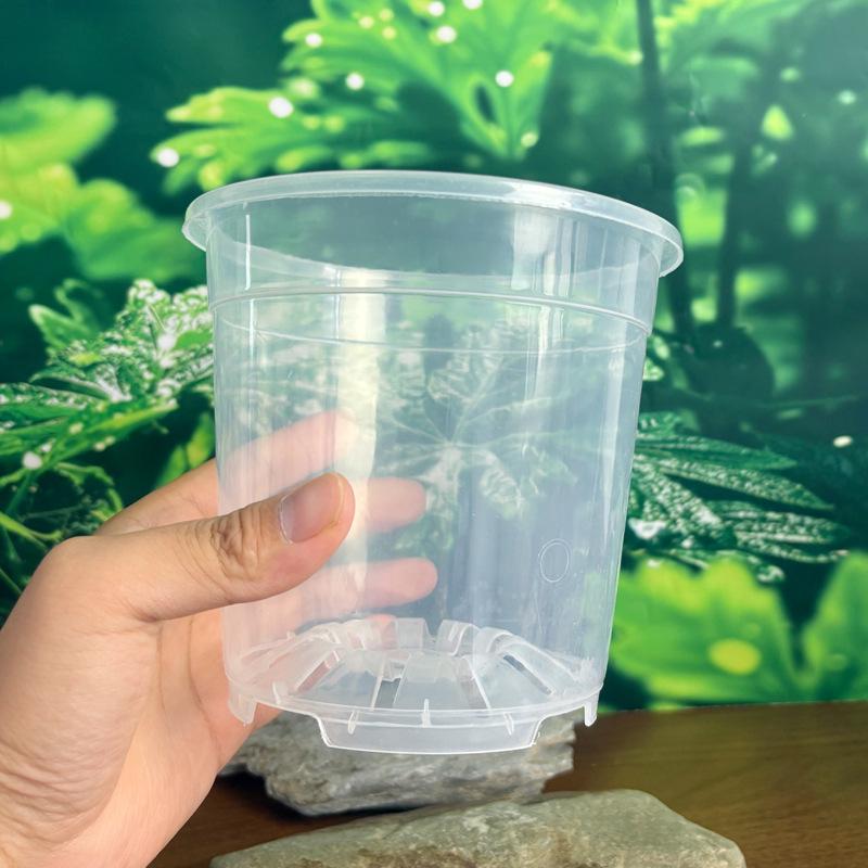 Clear Orchid Flower Pot - High Transparency, Thickened, Breathable for Dendrobium, Succulents, Roses, Phalaenopsis
