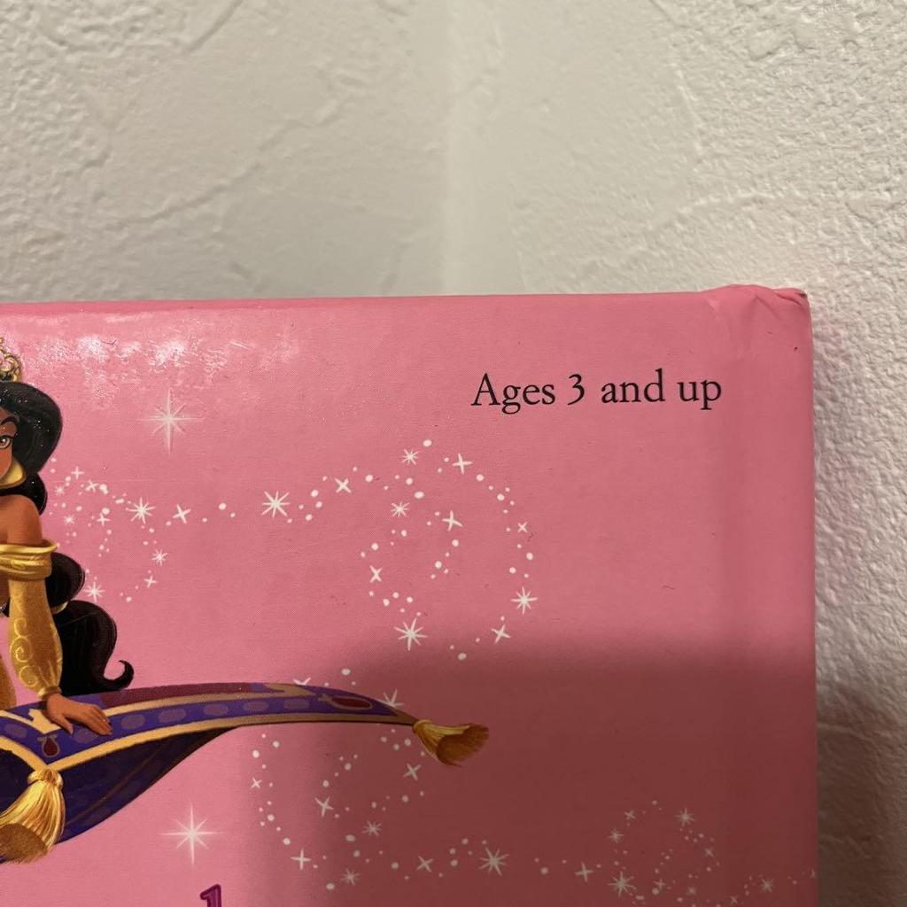 [USED] Overseas $138 Rare Extra Story English Book Disney Princess