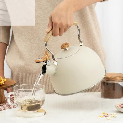 2.5L Tea Kettle Stainless Steel Built-in Whistle Leakproof Food Grade Matte Finish No Odor Efficient Heat Conduction Heat-Proof Handle Gas Induction
