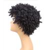 Afro Kinky Curly Amir Wigs Synthetic Hair Short Natural Black Ombre Brown Color Wig Hair Wig for Black Women Wig