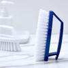 Multi-functional Stiff Bristle Brush for Laundry, Floor, and Shoe Cleaning