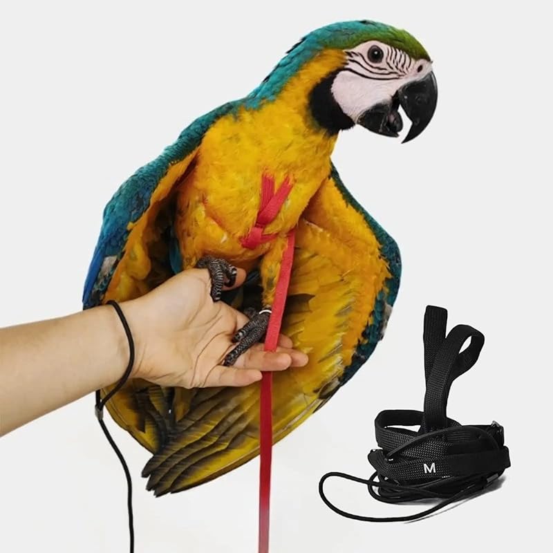 Adjustable Bird Harness with 78.7 Inch Leash, Outdoor Flying Training Rope Kit for Bird Parrots, Parrot Flying Rope Straps Outdoor Training Traction