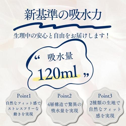 Diviness 60ml Absorbent Sanitary Panties, 3-Pack, Sizes XS To 2XL, 4-Layer Construction, Deep Waist (Black, 3-Pack, L)