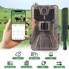 SUNTEKCAM HC-900Pro Fototrappola, 36MP 4K, Impermeabile IP65