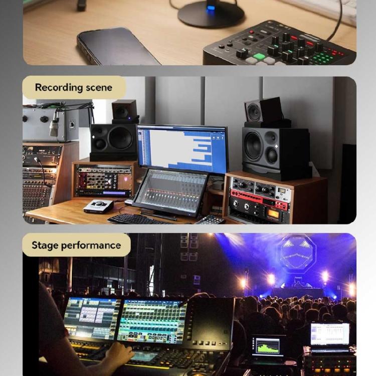 Audios Noise Isolator 6.35mm Signal Noise Cancellation Device Metal Builts For Stage Performers And Recording Engineers