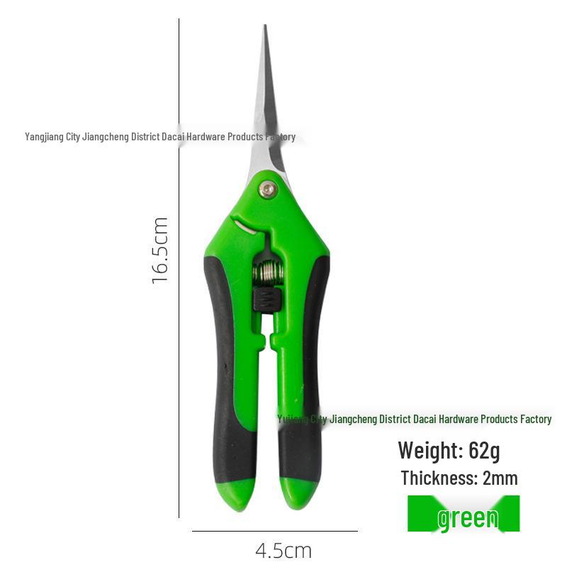 Stainless Steel Pruning Shears – Straight Head Elbow Flower, Fruit, and Vegetable Scissors.
