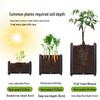 Large Modular Vegetable Planter Box