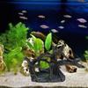 Aquarium Landscape Trunk Stump Model Aquariums Decorations Art Crafts Terrarium Habitat Ornaments