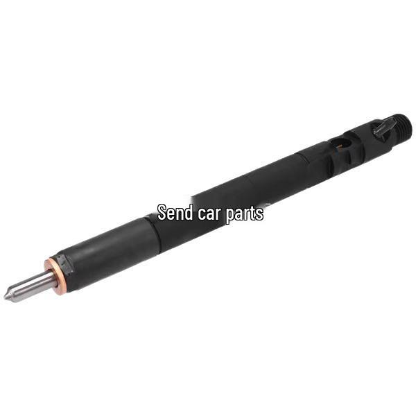 Delphi EJBR02701Z Injector: Compatible with Renault Delphi Common Rail Systems.