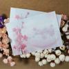 10pcs Vintage Stationery Card Cover Translucent Artificial Parchment Letter Organizer Sulfuric Acid Paper Peach Blossom Envelope