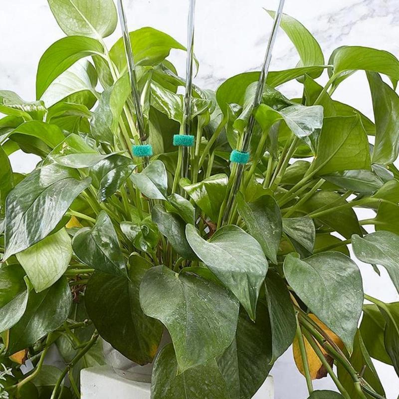 20PCS Plant Support Stakes with Fix Clip Sturdy Plant Support Sticks for Flowers and Vegetables Easy Installation Clear