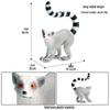Realistic Animal Heart Model Toy: Lemur, Raccoon, Orangutan, Baboon