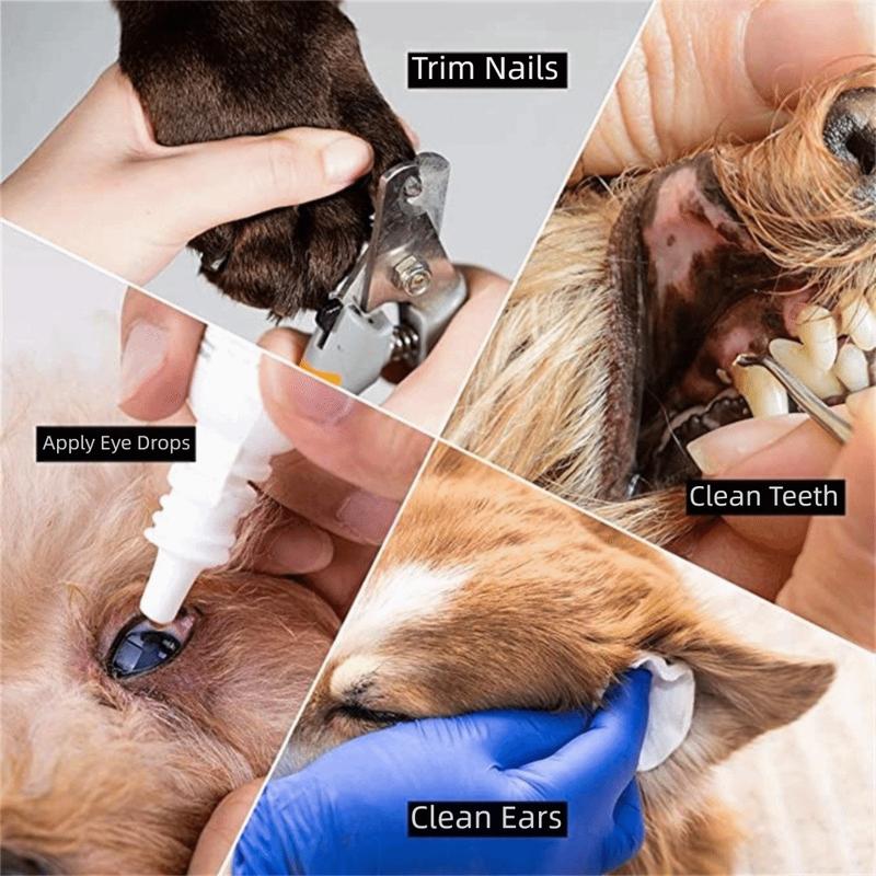 Adjustable Pet Grooming Hammock Hanging Breathable Pet Nail Trimming Hammock Comfortable Durable Cat Fixed Bath Bag Pet Grooming