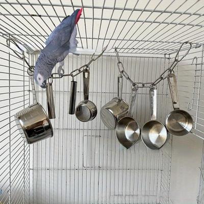 Średniej i dużej wielkości maszyna do usuwania popiołu z papug, małe słońce, garnek ze stali nierdzewnej w kształcie diamentu, ding ding dong dong, gryzienie, mielenie i zapobieganie gryzieniu futra