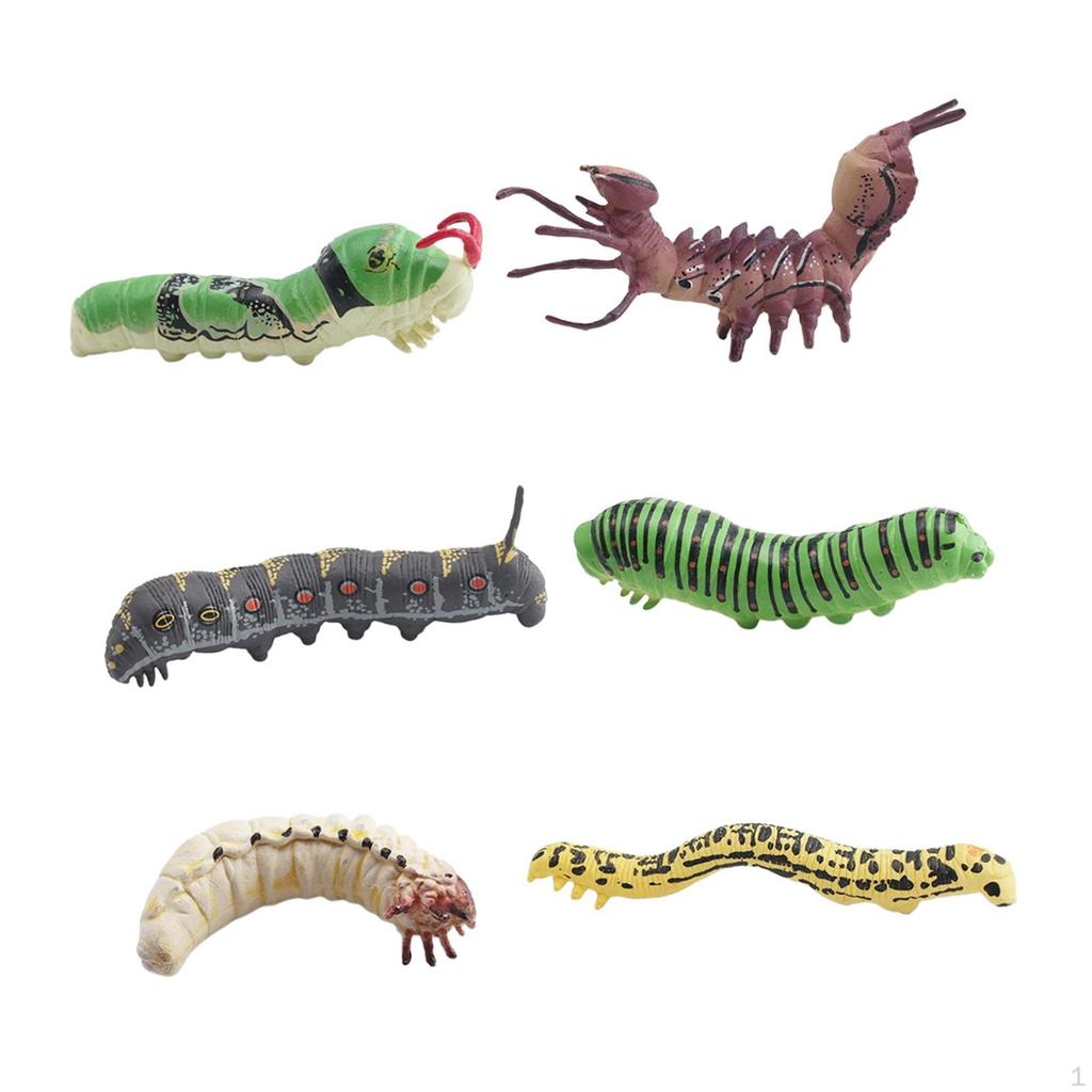 6 Stück 3D Simulationslarvenmodelle Kognitives Lernspielzeug Miniatur Foto Requisite Wurm Streichspielzeug Tier