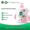 Dettol Healthy Antibacterial Hand Wash Moisturizing Care