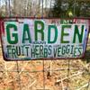 Vintage Metal Tin Sign Garden Wall Decor Herb Fruit Veggie Theme Retro License Plate Outdoor Indoor Pub Garage