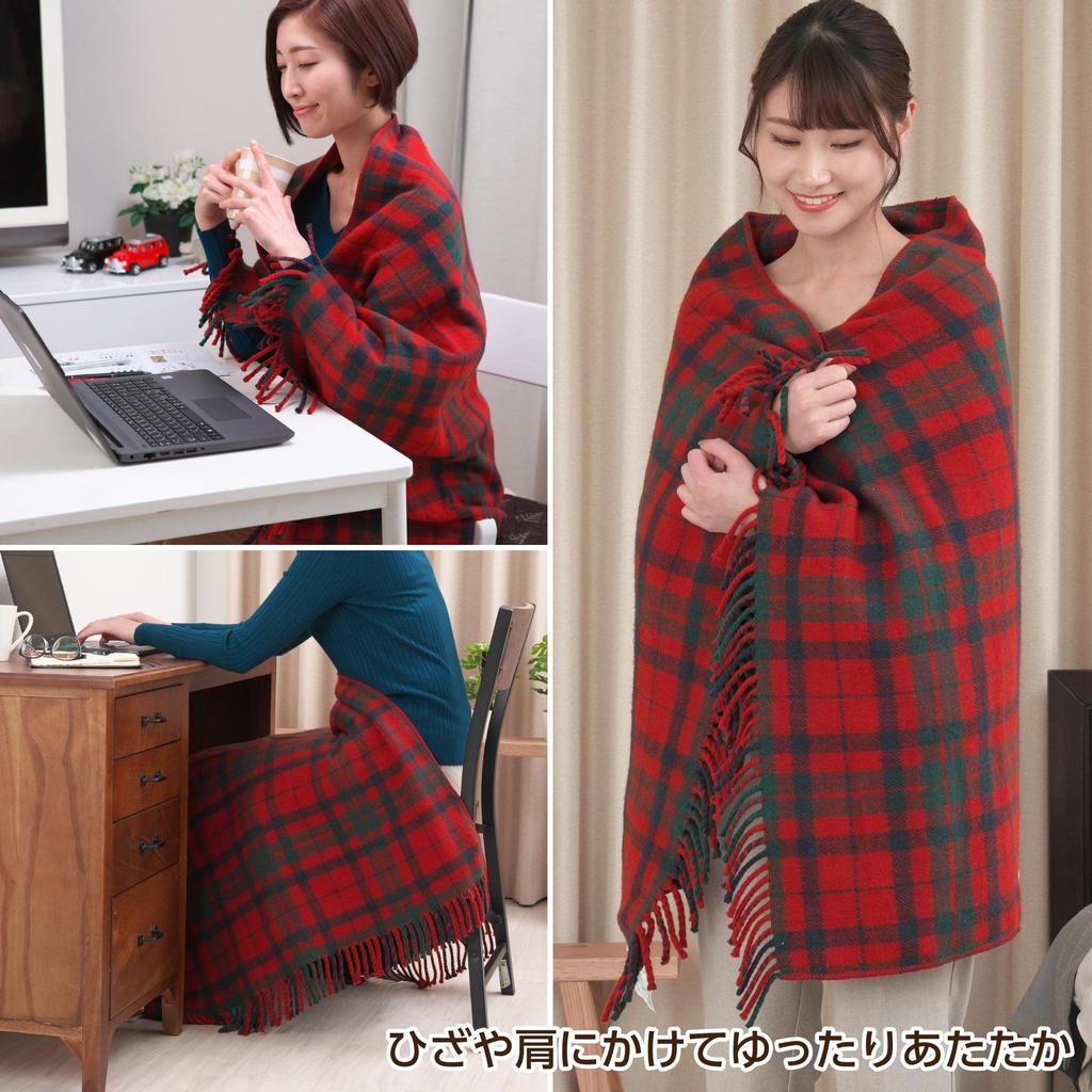 KODEN Electric Lap 140 x 82 Red Tartan Check Dust Mite Slide Temperature Blanket, Blanket, cm, Pattern, Washable, Repellent, Control, CWN141H-RC