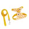 Cute Yellow Duck Anti-Escape Dog Leash & Adjustable Cat Harness Set