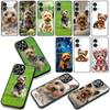 Yorkshire Terrier Yorkie Dog Pet Phone Case for Samsung Galaxy S25 S23 S22 S24 FE Ultra Plus A56 A05 A06 A15 A16 A57 S7 Edge