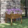 VidaXL Outdoor Planter Honey Brown 70 X 70 X 70 Cm Solid Pine