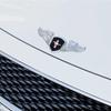 Car Sticker Car Hood Emblem Sticker for Ford Mustang Explorer Ecosport Shelby Focus 2 Ranger Mustang Kuga Mondeo Galaxy Transit