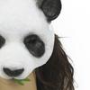 Panda Mask - Halloween Carnival Animal Cosplay Prop