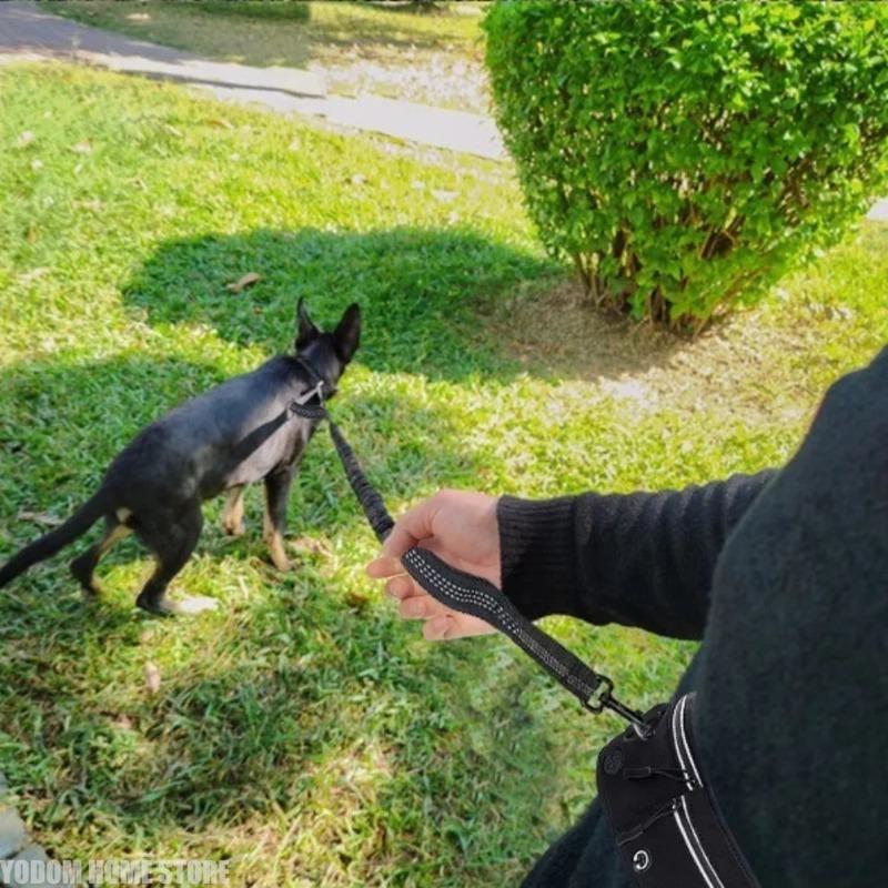 Waist Dog Hands Collars Harnesses Leads Free Dogs Leash Waist Running Leash Zipper Walking Pouch Reflective Dual Padded Handles
