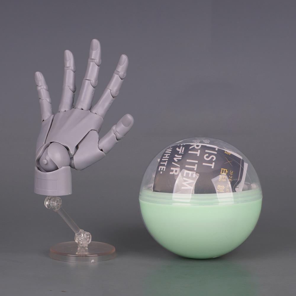 1:2 Scale Human Hand Model Mini Size Twisted Egg Design Palm Model Movable Joints With Posable Fingers Movable Finger Joints