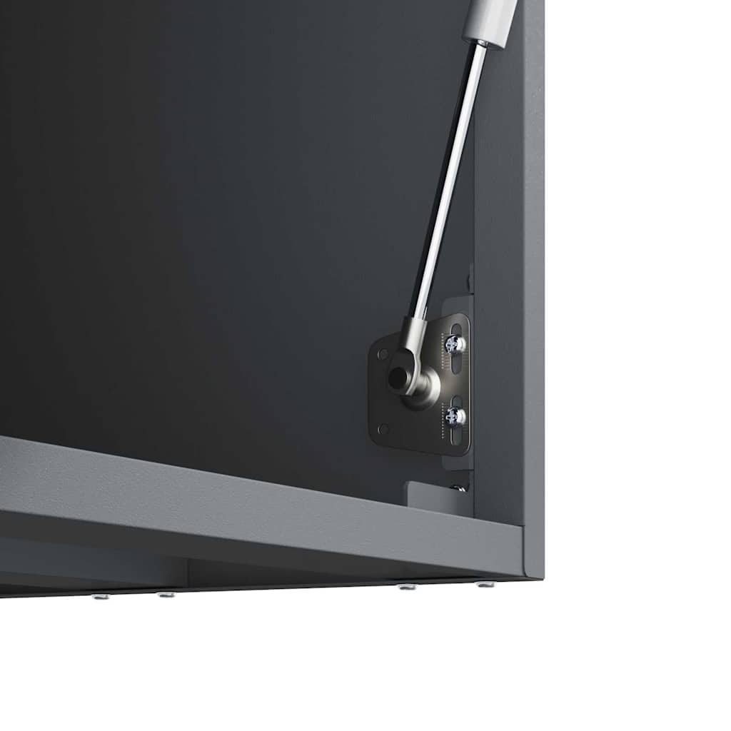 Wall Mounted Garage Cabinet with Gas Spring Door Anthracite