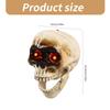 Halloween Party Props Skull Head Ornament with Animated Jaw Movement and Sounds Terrifying Skeleton Home Decoration