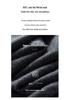 2025 Autumn/Winter Women's 100% Wool Yangzi Yarn Knit Sweater, Round Neck, Solid Color, Loose Fit