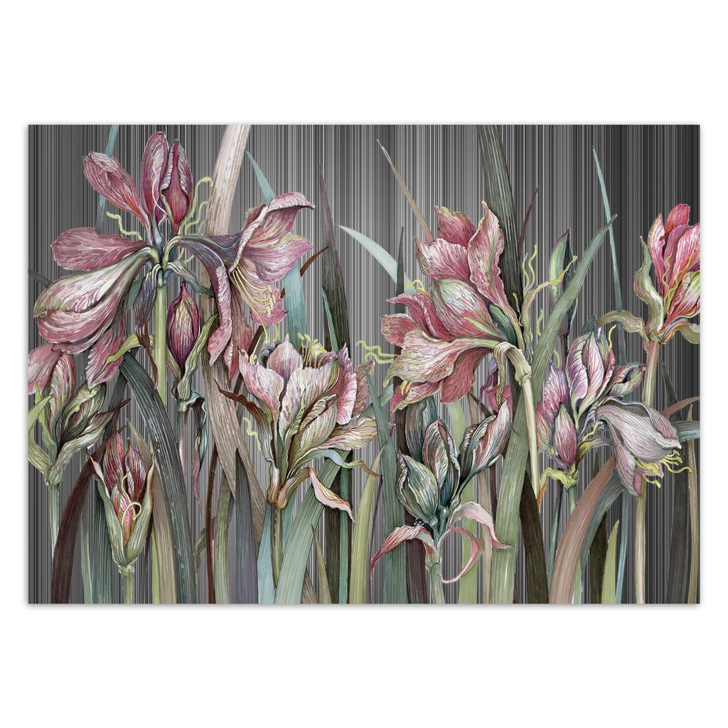 Wallpaper Iris Flowers