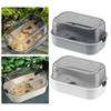 Turtle Aquarium with Platform Easy To Change Water Tortoise Aquarium Habitat for Terrapin Tortoise Crayfish Lizards Crabs