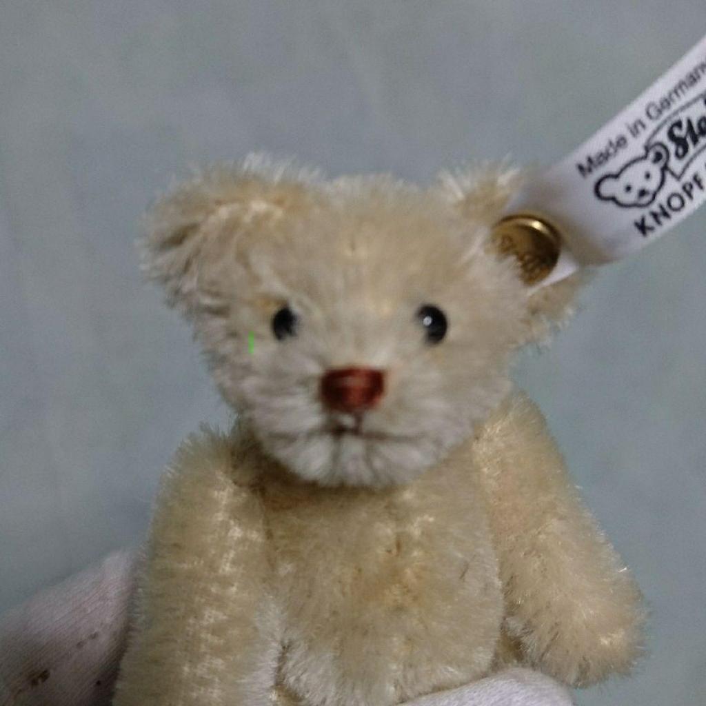 [USED] Steiff Teddy Bear