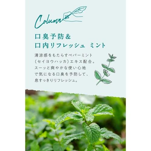 [Official] ARGITAL Green Clay Toothpaste (Mint) 75ml